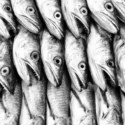 Warenkunde, Warenrunde: Der Geschmack des Meeres